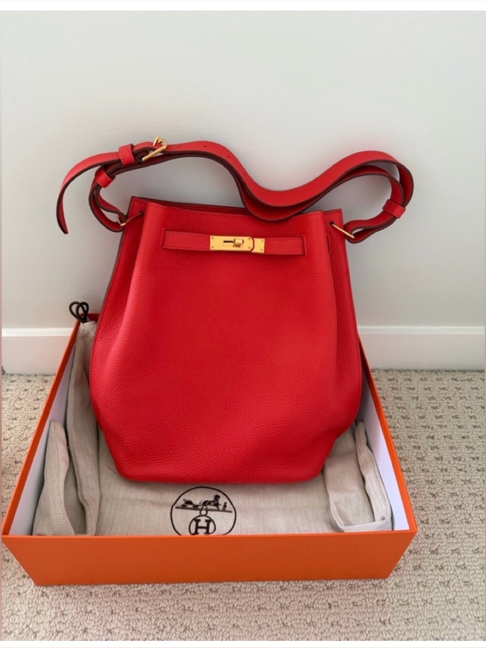 Hermes brand new So Kelly 22